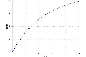 Dual Specificity Phosphatase 5 (DUSP5) ELISA Kit