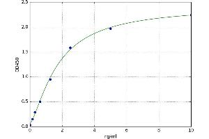 HMG Box-Containing Protein 1 (HBP1) ELISA Kit