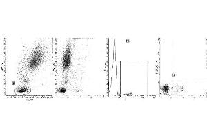 Clone B-ly8 (CD22) was analyzed by flow cytometry using a blood sample from a healthy volunteer. (CD22 抗体  (FITC))