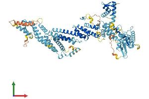 Protein Structure (PS) image for Anaphase Promoting Complex Subunit 2 (ANAPC2) (AA 1-837) protein (His tag) (ABIN7564477)