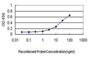 Detection limit for recombinant GST tagged CAMKK1 is approximately 1ng/ml as a capture antibody. (CAMKK1 抗体  (AA 1-520))