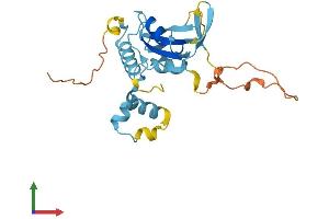 AlphaFold protein structure predicition of Human Recombinant SOCS3 Protein, UniprotID O14543