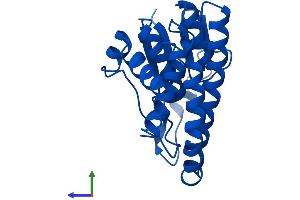 AlphaFold protein structure predicition of Mouse Recombinant Gstm6 Protein, UniprotID O35660