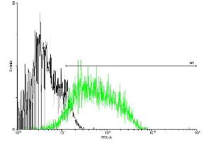 FACS analysis of negative control 293 cells (Black) and CD97 expressing 293 cells (Green) using CD97 purified MaxPab mouse polyclonal antibody. (CD97 抗体  (AA 1-742))