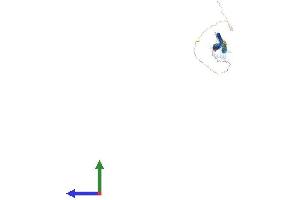 Protein Structure (PS) image for Spindle Assembly 6 Homolog (SASS6) (AA 1-654) protein (His tag) (ABIN7558335)