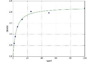 A typical standard curve