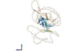 Protein Structure (PS) image for Zinc Finger and BTB Domain Containing 5 (ZBTB5) (AA 1-677) protein (His tag) (ABIN7545378)