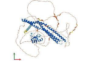 Protein Structure (PS) image for Amphiphysin (AMPH) (AA 1-686) protein (His tag) (ABIN7558272)