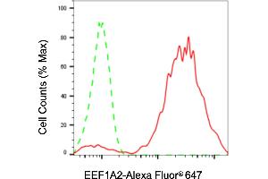 Flow cytometric analysis of EEF1A2 expression in HaCaT cells using EEF1A2 antibody (ABIN7798499), 1:2,000). (Recombinant EEF1A2 抗体)
