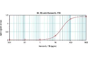 Direct ELISA using Biotin conjugated anti-Interleukin-17B / IL17B antibody