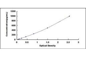 Typical standard curve (BMP10 ELISA 试剂盒)