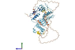 Protein Structure (PS) image for Zinc Finger Protein 582 (ZNF582) (AA 1-517) protein (His tag) (ABIN7545478)