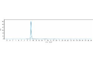 anti-ErbB3 (Patritumab Biosimilar) antibody