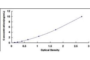 Typical standard curve (NFIB ELISA 试剂盒)