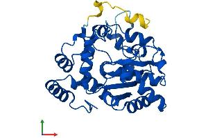 Protein Structure (PS) image for Sulfotransferase Family, Cytosolic, 1C, Member 2 (SULT1C2) (AA 1-304) protein (His tag) (ABIN7558371)
