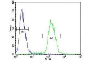 Anti-Myc antibody flow cytometric analysis of 293 cells (right histogram) compared to a negative control cell (left histogram). (c-MYC 抗体  (AA 40-69))