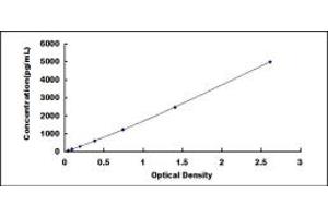 Typical standard curve (TIMP4 ELISA 试剂盒)