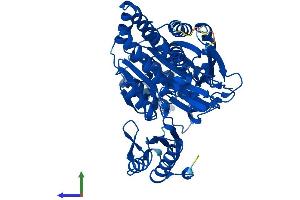 AlphaFold protein structure predicition of Human Recombinant PGM3 Protein, UniprotID O95394