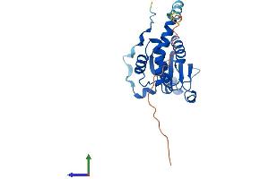 Protein Structure (PS) image for Serine/threonine/tyrosine Interacting Protein (STYX) (AA 1-223) protein (His tag) (ABIN7544042)