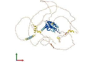 Protein Structure (PS) image for Clathrin Interactor 1 (CLINT1) (AA 1-625) protein (His tag) (ABIN7547424)