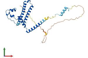 Protein Structure (PS) image for Mediator Complex Subunit 8 (MED8) (AA 1-268) protein (His tag) (ABIN7549284)