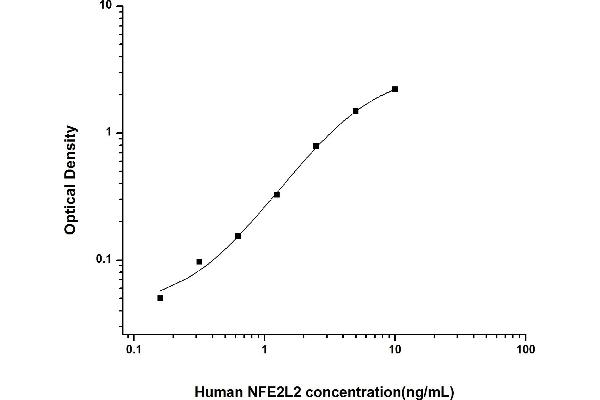 NRF2 ELISA 试剂盒