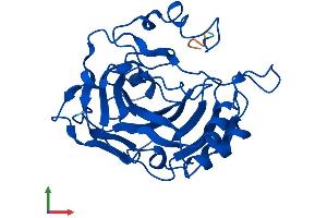 Protein Structure (PS) image for Carbonic Anhydrase VII (CA7) (AA 1-264) protein (His tag) (ABIN7561444)