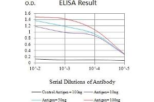 Black line: Control Antigen (100 ng),Purple line: Antigen (10 ng), Blue line: Antigen (50 ng), Red line:Antigen (100 ng) (TRADD 抗体  (AA 1-177))