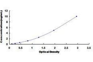 ELISA image for Myeloid Differentiation Primary Response Gene (88) (MYD88) ELISA Kit (ABIN414798)