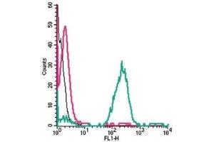 Flow Cytometry (FACS) image for anti-Egf-Like Module Containing, Mucin-Like, Hormone Receptor-Like 1 (EMR1) (AA 58-72), (Extracellular) antibody (ABIN7043115)