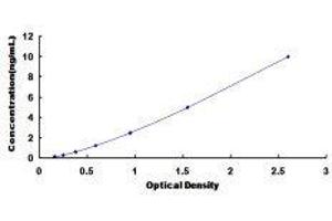 ELISA image for Coagulation Factor II (thrombin) Receptor-Like 1 (F2RL1) ELISA Kit (ABIN416146)