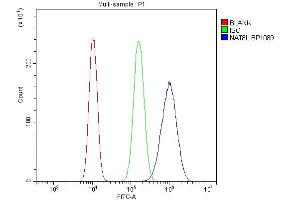 Flow Cytometry analysis of U20S cells using anti-NAT8L antibody (ABIN7602765).