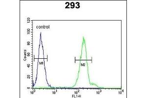 CRELD2 Antibody (C-term) (ABIN653131 and ABIN2842709) flow cytometric analysis of 293 cells (right histogram) compared to a negative control cell (left histogram). (CRELD2 抗体  (C-Term))