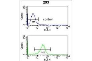 NU Antibody (N-term) (ABIN653061 and ABIN2842662) flow cytometry analysis of 293 cells (bottom histogram) compared to a negative control cell (top histogram). (NUP153 抗体  (N-Term))