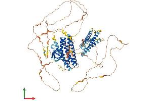 Protein Structure (PS) image for Breast Cancer Anti-Estrogen Resistance 1 (BCAR1) (AA 1-870) protein (His tag) (ABIN7552559)