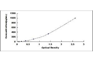 Typical standard curve (GM-CSF ELISA 试剂盒)