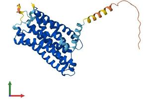 AlphaFold protein structure predicition of Mouse Recombinant Ffar2 Protein, UniprotID Q8VCK6 (FFAR2 Protein (AA 1-330) (His tag))