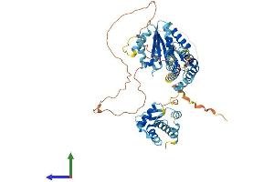 Protein Structure (PS) image for Cell Division Cycle 6 Homolog (S. Cerevisiae) (CDC6) (AA 1-560) protein (His tag) (ABIN7553335)