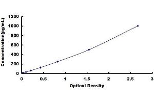 Transmembrane Protein 173 (TMEM173) ELISA Kit