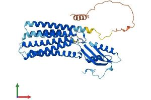 Protein Structure (PS) image for Solute Carrier Family 30 (Zinc Transporter), Member 8 (SLC30A8) (AA 1-369) protein (His tag) (ABIN7545841)
