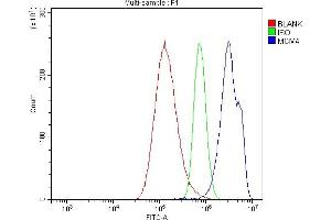 Flow Cytometry analysis of A549 cells using anti-MCM4 antibody (ABIN7601485). (MCM4 抗体  (AA 361-677))