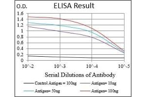 Black line: Control Antigen (100 ng), Purple line: Antigen(10 ng), Blue line: Antigen (50 ng), Red line: Antigen (100 ng), (MAPK7 抗体  (AA 411-556))