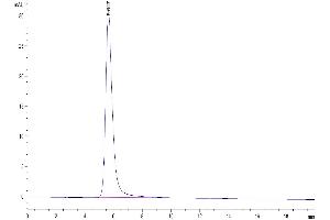 The purity of Biotinylated Human LDLR is greater than 95 % as determined by SEC-HPLC.