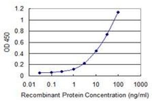 Detection limit for recombinant GST tagged PDIA5 is 0. (PDIA5 抗体  (AA 31-130))