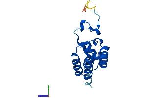 Protein Structure (PS) image for Polymerase (RNA) II (DNA Directed) Polypeptide D (POLR2D) (AA 1-142) protein (His tag) (ABIN7551535)