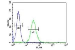 CD80 antibody flow cytometric analysis of HL-60 cells (right histogram) compared to a negative control (left histogram). (CD80 抗体  (AA 260-288))