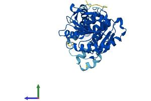 Protein Structure (PS) image for Asparagine-Linked Glycosylation 5, Dolichyl-Phosphate beta-Glucosyltransferase Homolog (S. Cerevisiae) (ALG5) (AA 1-324) protein (His tag) (ABIN7552112)