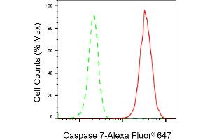 Flow cytometric analysis of Caspase 7 expression in HepG2 cells using Caspase 7 antibody (ABIN7797903), 1:2,000).