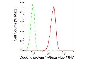 Flow cytometric analysis of Docking protein 1 expression in C2C12 cells using Docking protein 1 antibody (ABIN7798379), 1:2,000).