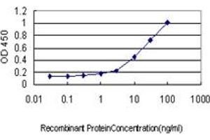 Detection limit for recombinant GST tagged SCYE1 is approximately 1ng/ml as a capture antibody. (AIMP1 抗体  (AA 1-312))